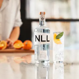 Salcombe Gin Bar