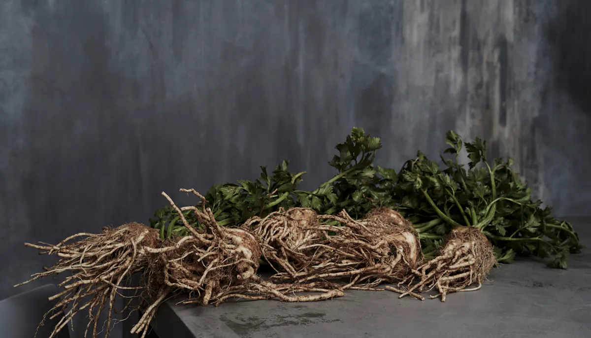 Aulis London