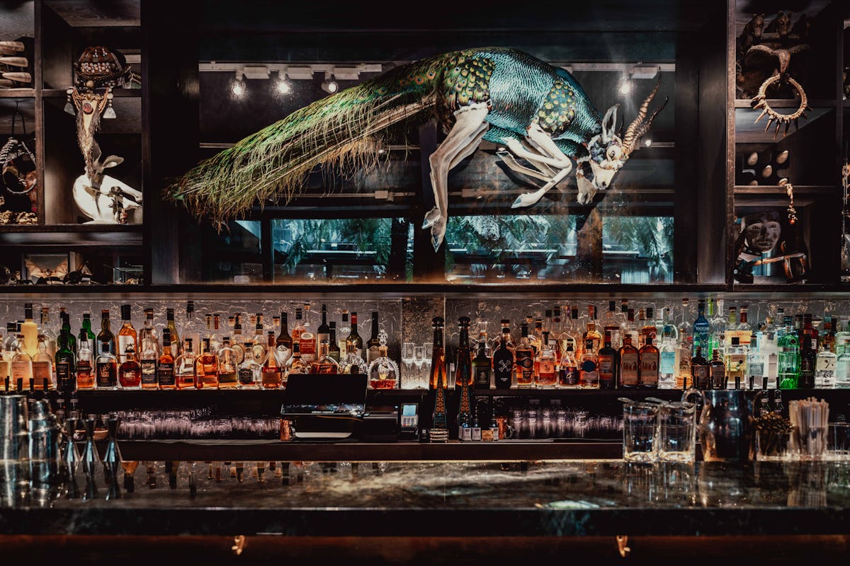 Waeska at The Mandrake