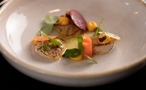 Truffle Lunch