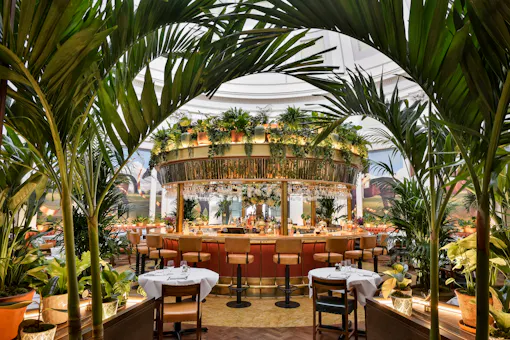 The Ivy Montpellier Brasserie