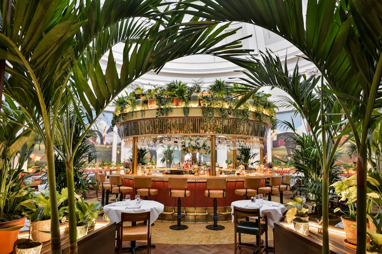 The Ivy Montpellier Brasserie