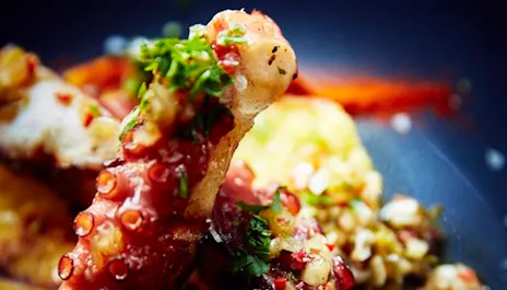 Chimichurris