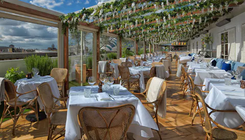 Alto by San Carlo