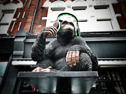The Monkey Bar & Grill