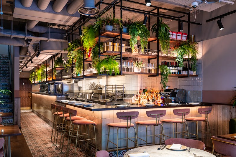 Nutshell, London Restaurant Reviews, Bookings, Menus, Phone Number