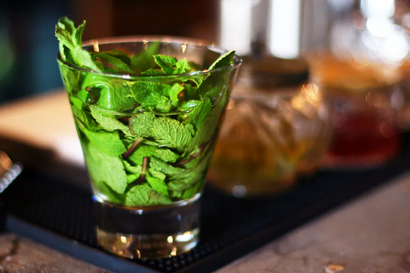House of Tippler