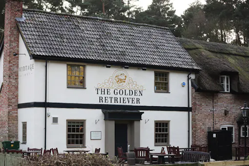 The Golden Retriever