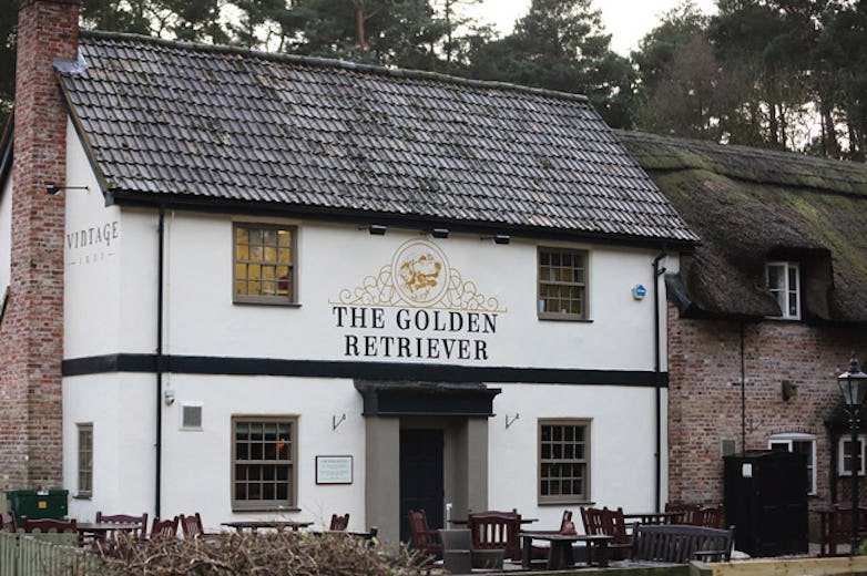 The Golden Retriever
