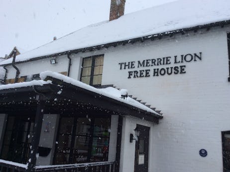 The Merrie Lion