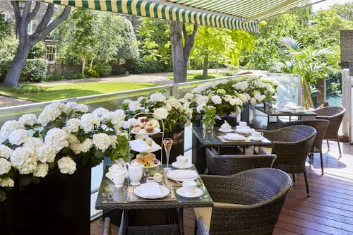 Afternoon Tea at The Montague on the Gardens