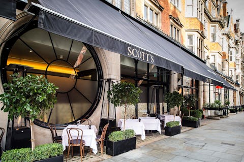 Scott's Bar Counter