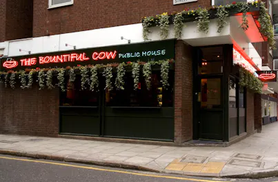 The Bountiful Cow
