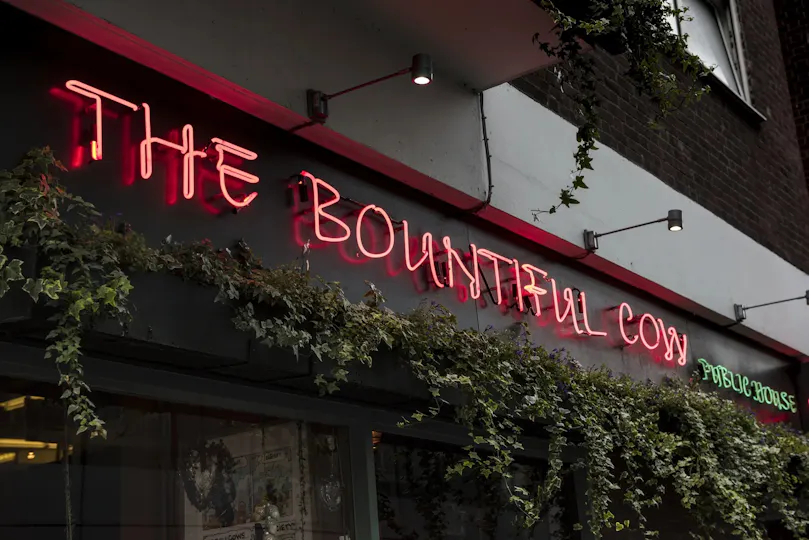 The Bountiful Cow