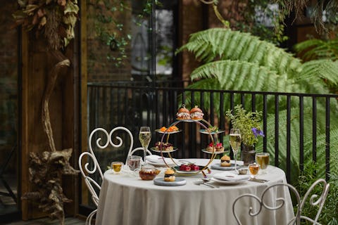 Afternoon Tea at The Mandrake 