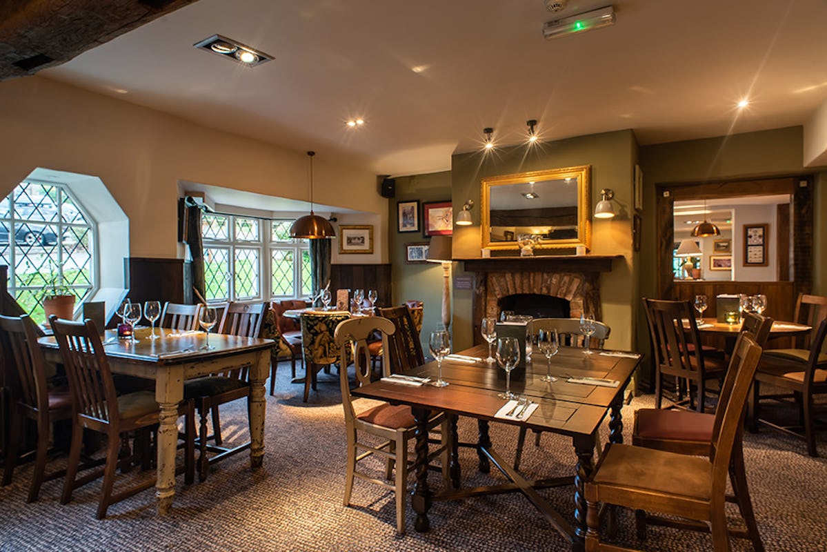 The Foxglove