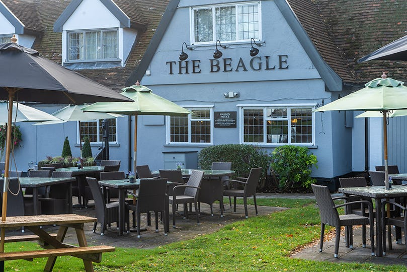 The Beagle