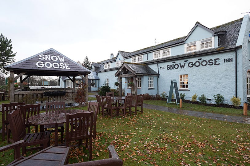 The Snow Goose