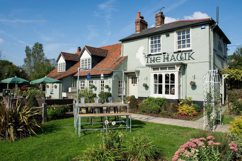 The Hawk
