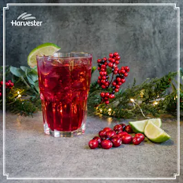 Harvester - The Beacon