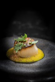 Lucky Cat by Gordon Ramsay