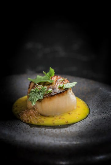 Lucky Cat by Gordon Ramsay