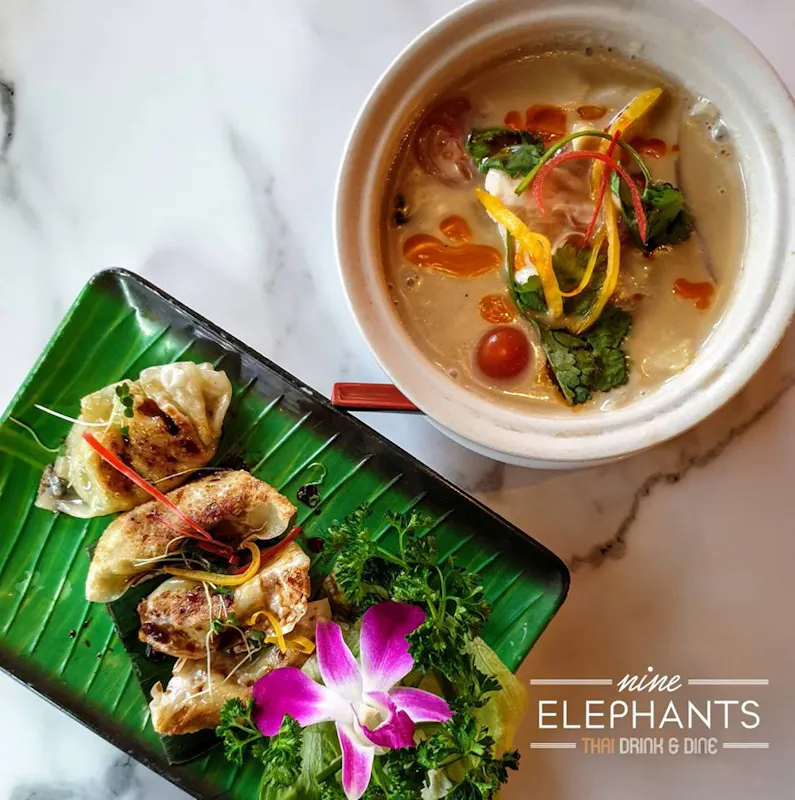 9 Elephants Thai Drink & Dine