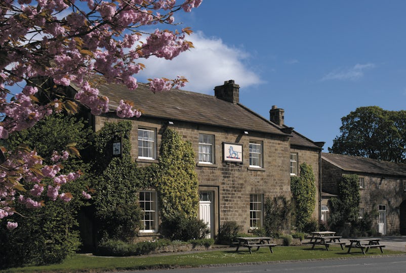 The Blue Lion