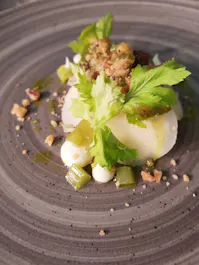 Allium Bar and Grill