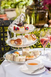 Yellow Broom - Afternoon Tea