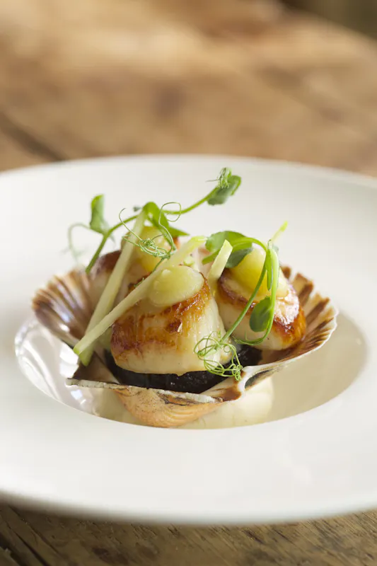 The Wheatsheaf Combe Hay