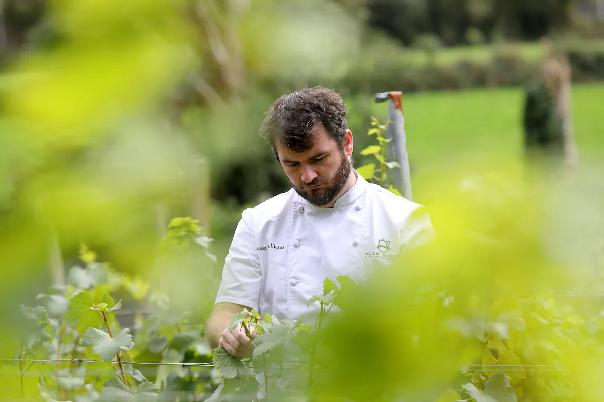 The Gunroom Restaurant at Plas Dinas Country House