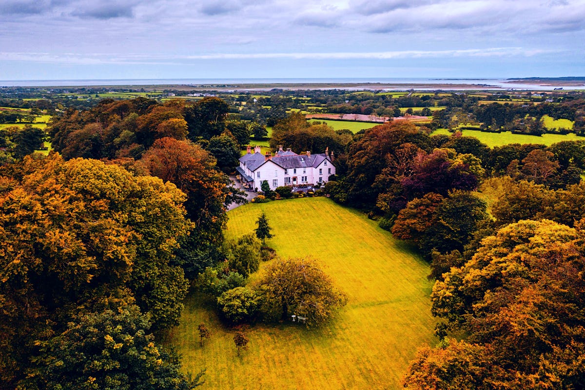 The Gunroom Restaurant at Plas Dinas Country House