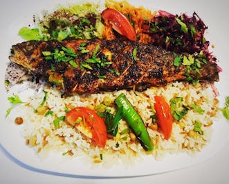 The Ozturk