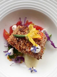 Wild Thyme