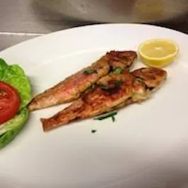 Aphrodite Taverna