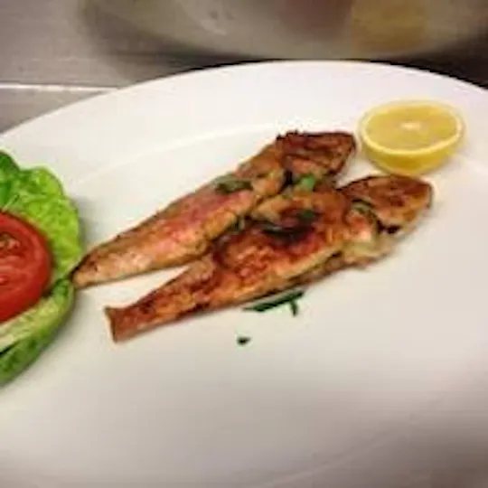 Aphrodite Taverna