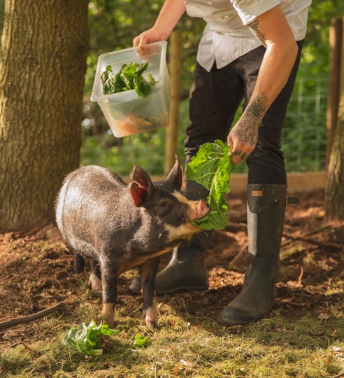The Boat Restaurant & Micro-farm