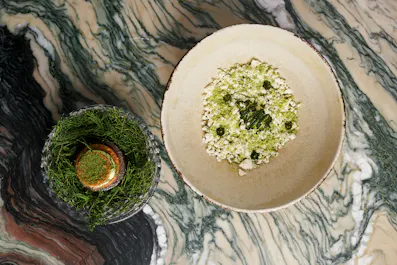 Muse by Tom Aikens