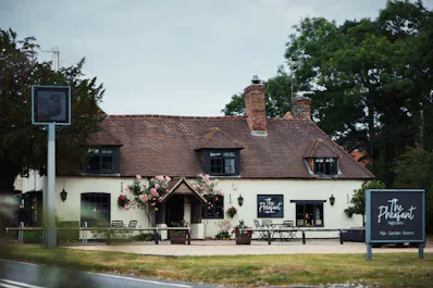 The Pheasant