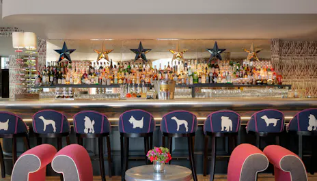 Brumus at the Haymarket Hotel