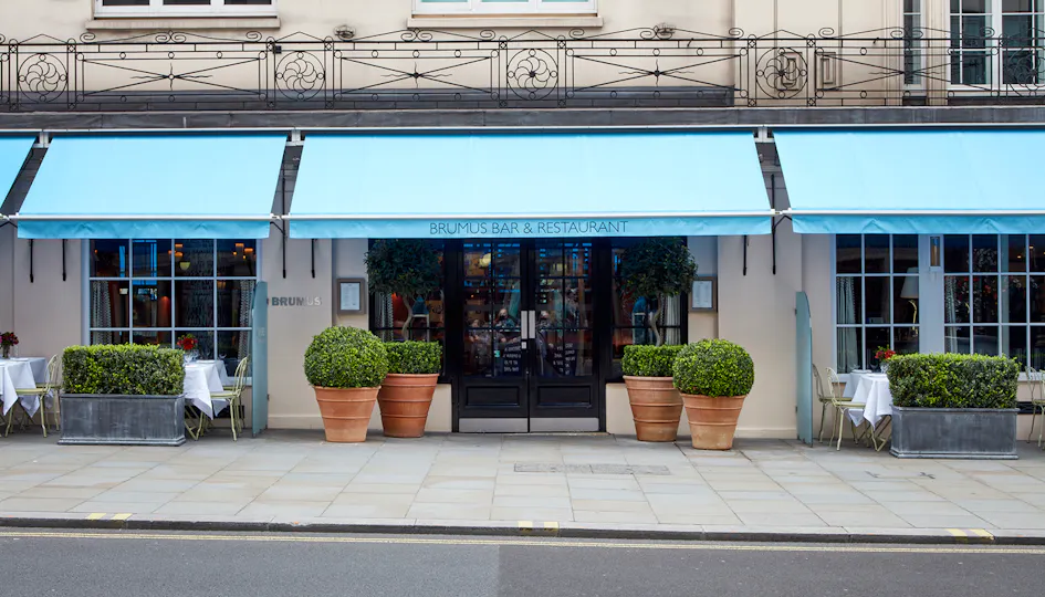 Brumus at the Haymarket Hotel