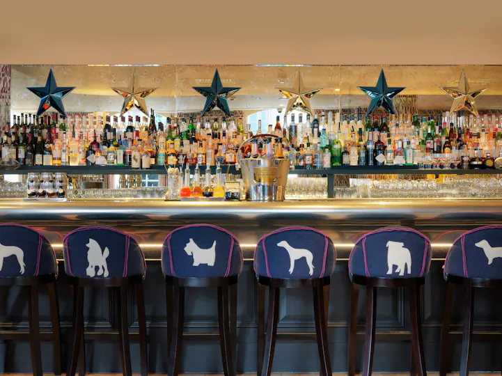 Brumus Bar at the Haymarket Hotel