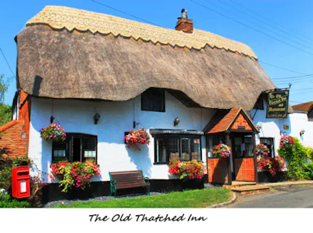 The Old Thatched Inn
