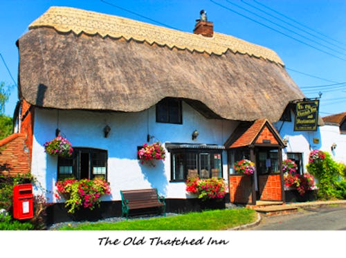 The Old Thatched Inn