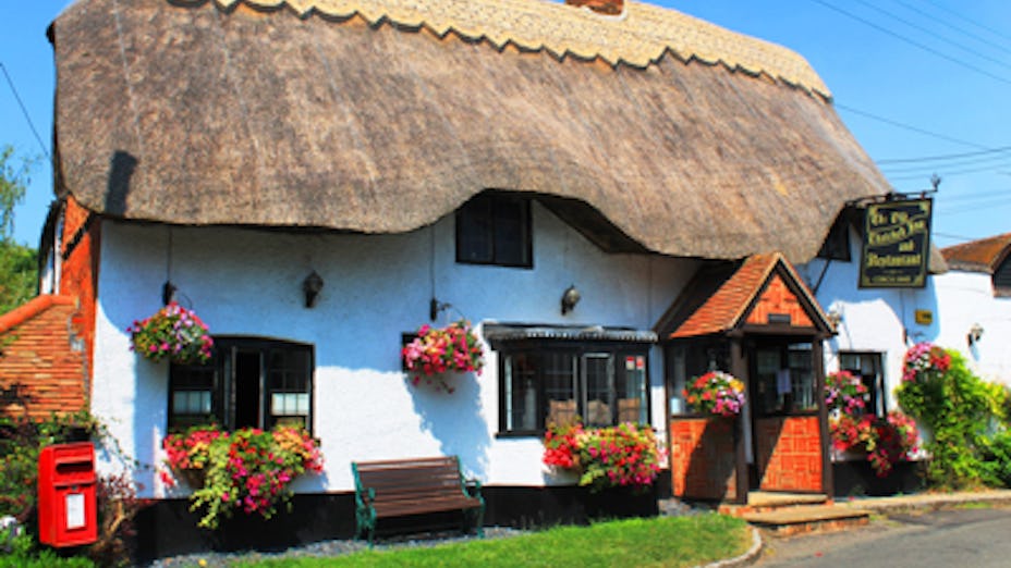 The Old Thatched Inn