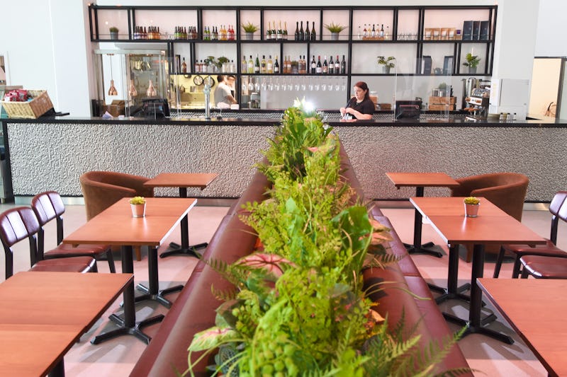 The Box Kitchen & Bar, Devon Restaurant Review, Menu, Opening Times