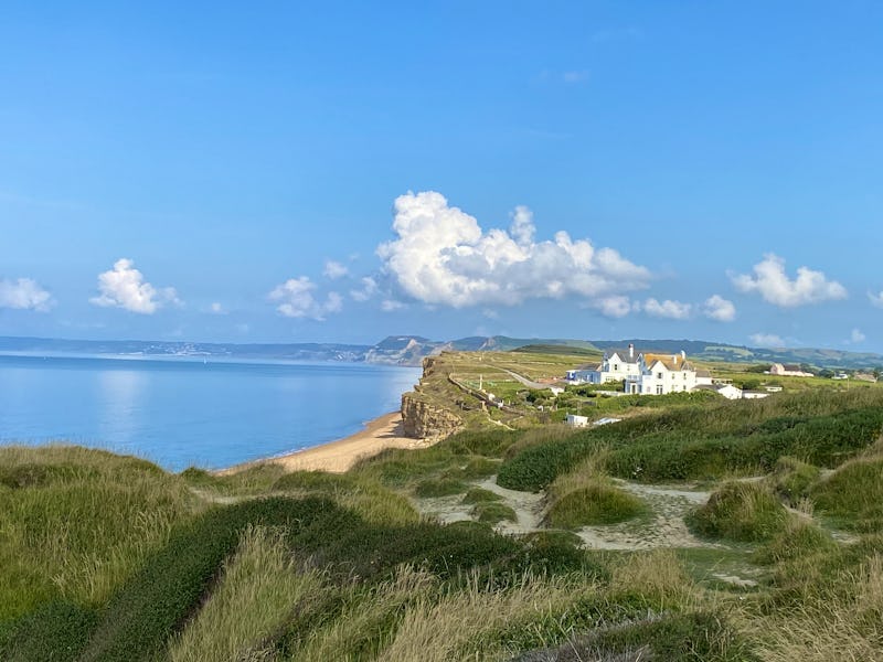 Seaside Boarding House Dorset Restaurant Review Menu Opening