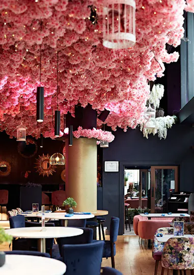 Blossom Room