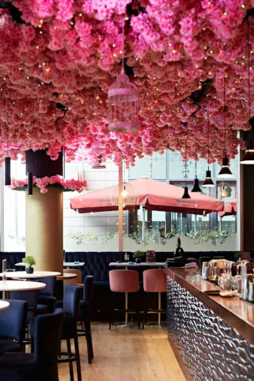 Blossom Room